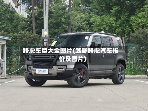 路虎车型大全图片(越野路虎汽车报价及图片)-第3张图片