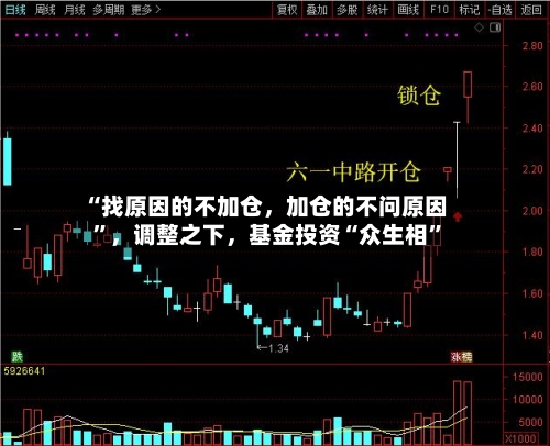 “找原因的不加仓，加仓的不问原因	”	，调整之下，基金投资“众生相”-第2张图片