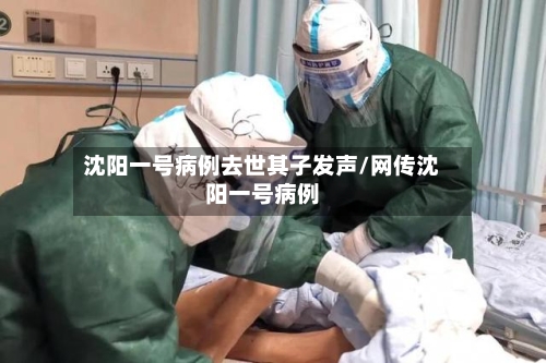 沈阳一号病例去世其子发声/网传沈阳一号病例-第3张图片