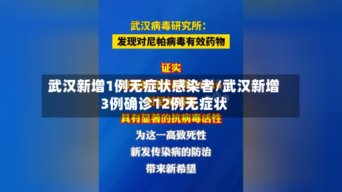 武汉新增1例无症状感染者/武汉新增3例确诊12例无症状