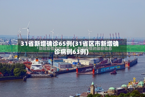 31省新增确诊65例(31省区市新增确诊病例63例)-第2张图片