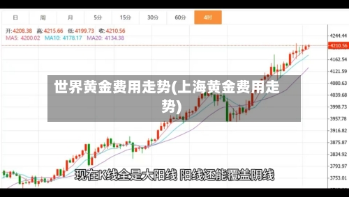 世界黄金费用走势(上海黄金费用走势)