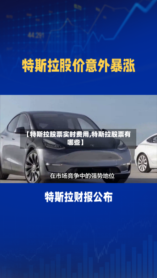 【特斯拉股票实时费用,特斯拉股票有哪些】-第2张图片