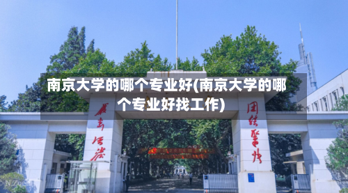 南京大学的哪个专业好(南京大学的哪个专业好找工作)