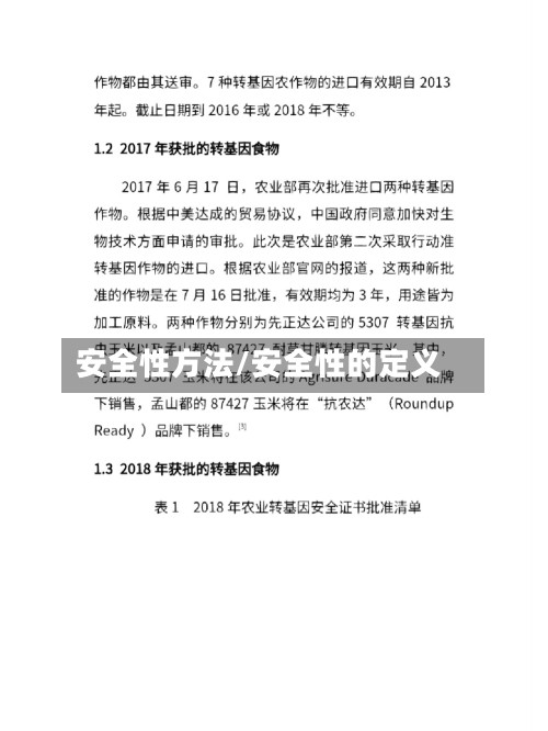 安全性方法/安全性的定义-第2张图片