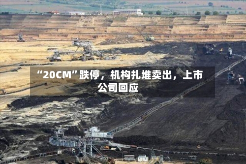 “20CM”跌停	，机构扎堆卖出，上市公司回应-第2张图片