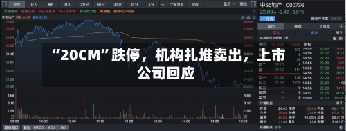 “20CM”跌停，机构扎堆卖出	，上市公司回应-第3张图片