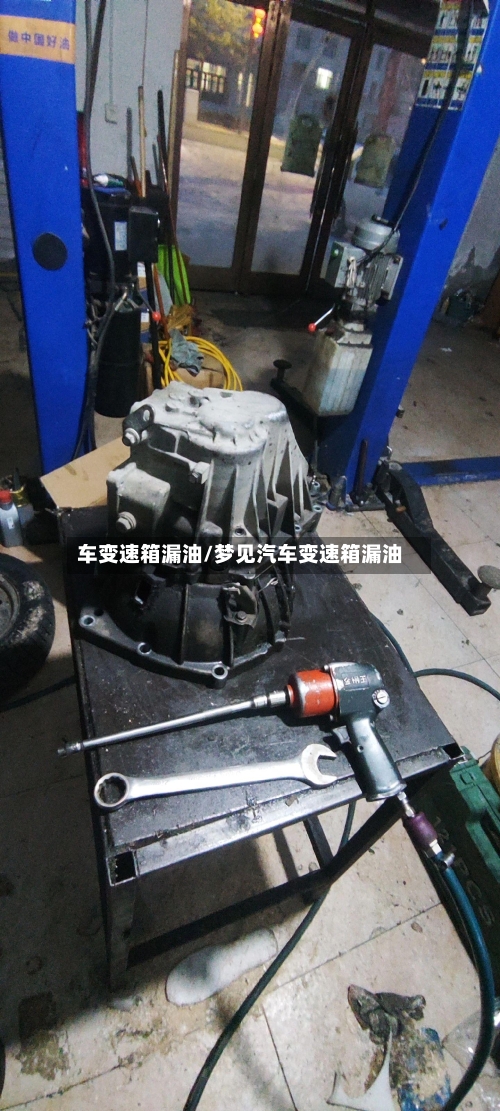 车变速箱漏油/梦见汽车变速箱漏油-第2张图片