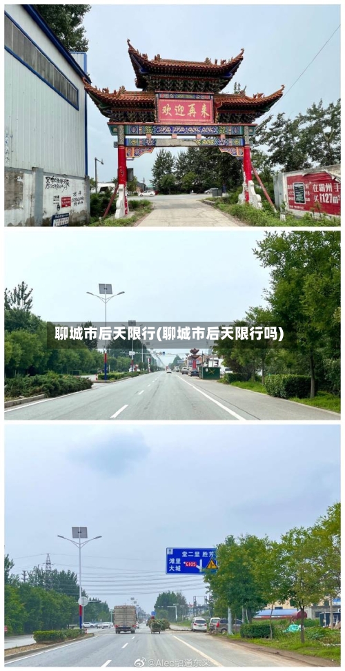 聊城市后天限行(聊城市后天限行吗)-第2张图片