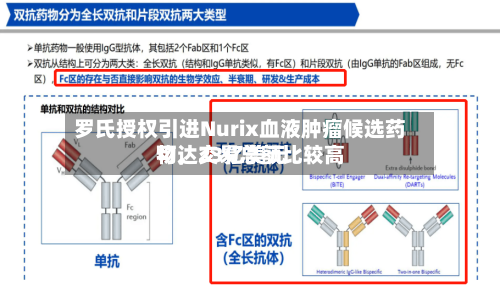 罗氏授权引进Nurix血液肿瘤候选药物，交易总额比较高可达23亿美元-第2张图片