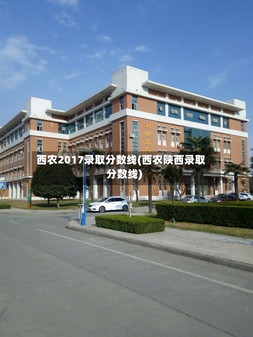 西农2017录取分数线(西农陕西录取分数线)
