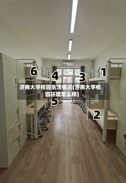 济南大学校园生活情况(济南大学校园环境怎么样)-第2张图片