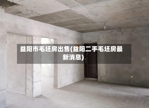 益阳市毛坯房出售(益阳二手毛坯房最新消息)