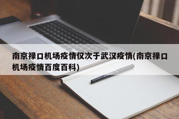 南京禄口机场疫情仅次于武汉疫情(南京禄口机场疫情百度百科)