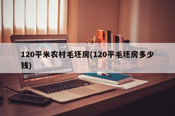120平米农村毛坯房(120平毛坯房多少钱)