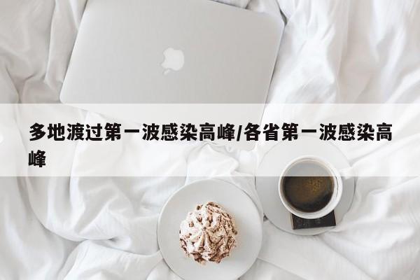 多地渡过第一波感染高峰/各省第一波感染高峰