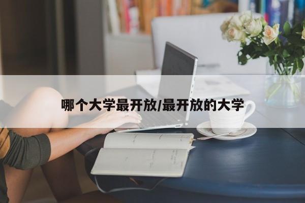 哪个大学最开放/最开放的大学