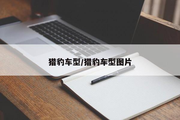 猎豹车型/猎豹车型图片