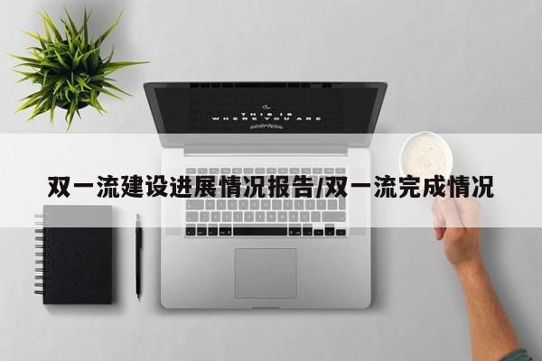双一流建设进展情况报告/双一流完成情况