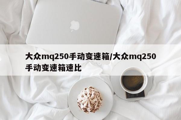 大众mq250手动变速箱/大众mq250手动变速箱速比