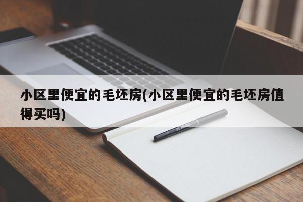 小区里便宜的毛坯房(小区里便宜的毛坯房值得买吗)