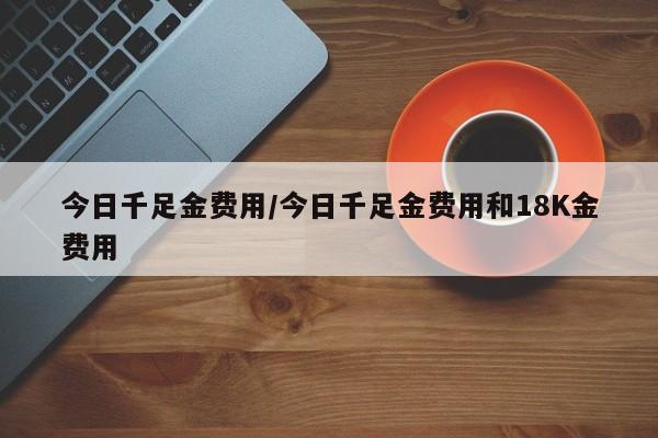 今日千足金费用/今日千足金费用和18K金费用