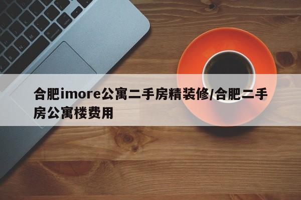 合肥imore公寓二手房精装修/合肥二手房公寓楼费用