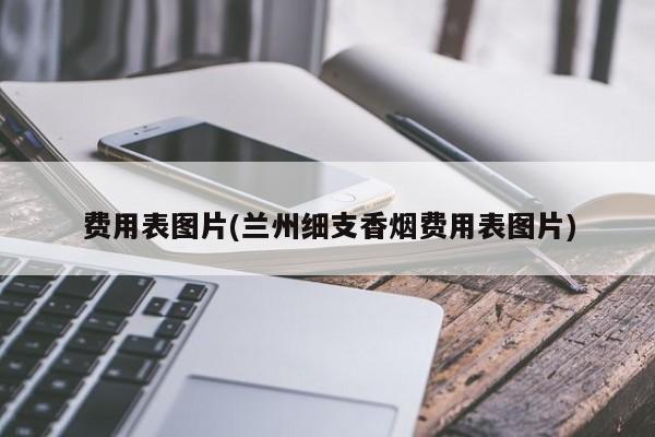 费用表图片(兰州细支香烟费用表图片)